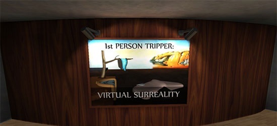 一个人的博物馆（1st PERSON TRIPPER: VIRTUAL SURREALITY）