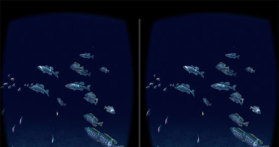 海里世界（Fish Schooling VR）