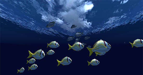 海里世界（Fish Schooling VR）