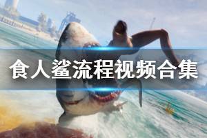 《食人鲨》maneater实况流程视频合集 maneater游戏怎么样？