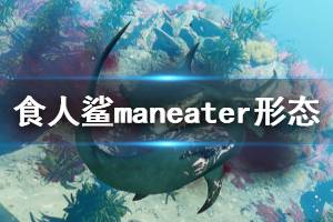 《食人鲨》Maneater形态有哪些？鲨鱼形态与实战演示视频