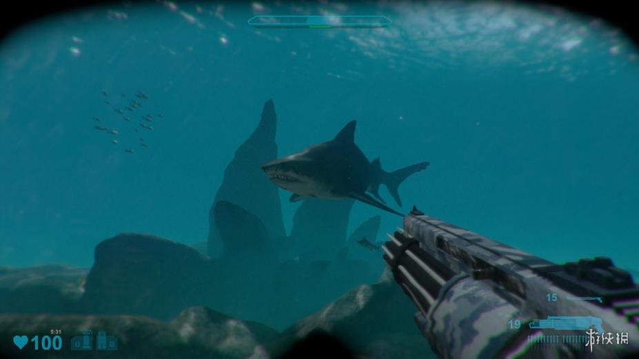 鲨鱼袭击死亡竞赛2 免安装绿色版