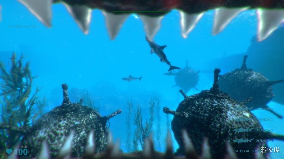 鲨鱼袭击死亡竞赛2 免安装绿色版