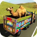 骆驼运输