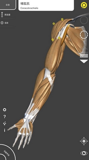艺术家之3D解剖图免费版