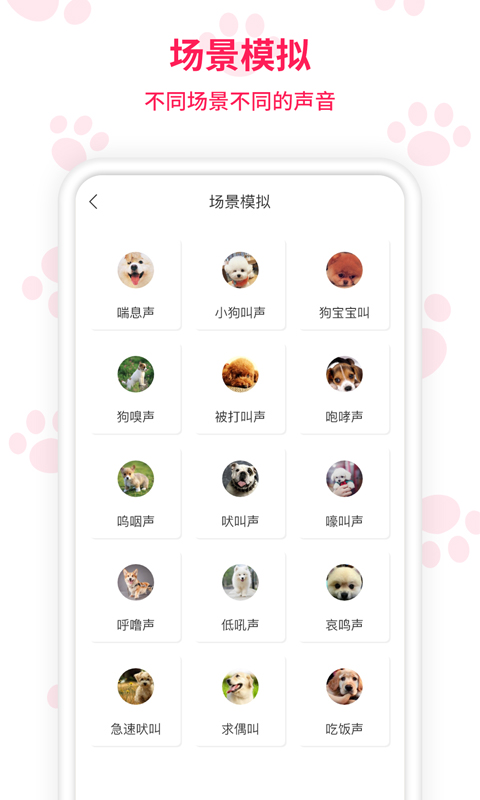 人猫人狗交流师app