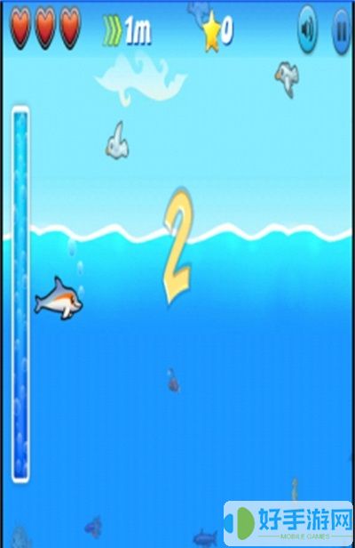 跳跃海豚大冒险