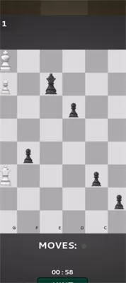 国际棋的狂热最新版