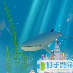 深海水族馆佬鲨 深海水族馆展现强大佬鲨