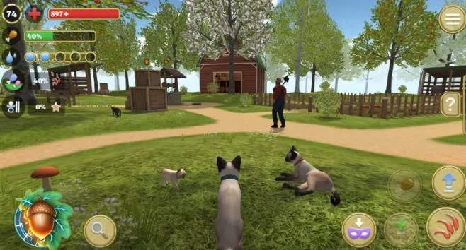 动物模拟经营类游戏