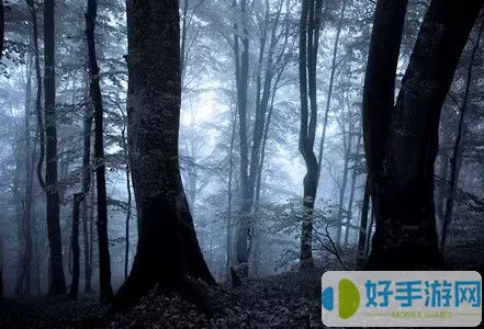 恐怖森林视频 恐怖森林视频