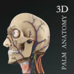 掌上3D解剖下载正版