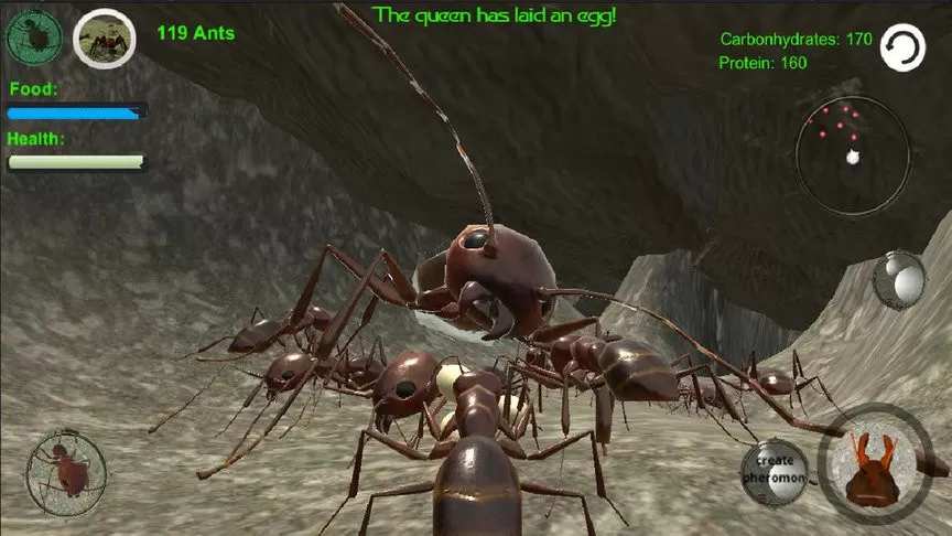蚂蚁模拟3D游戏官网版