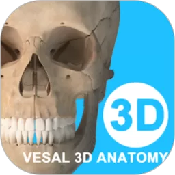 维萨里3D解剖官网版手机版