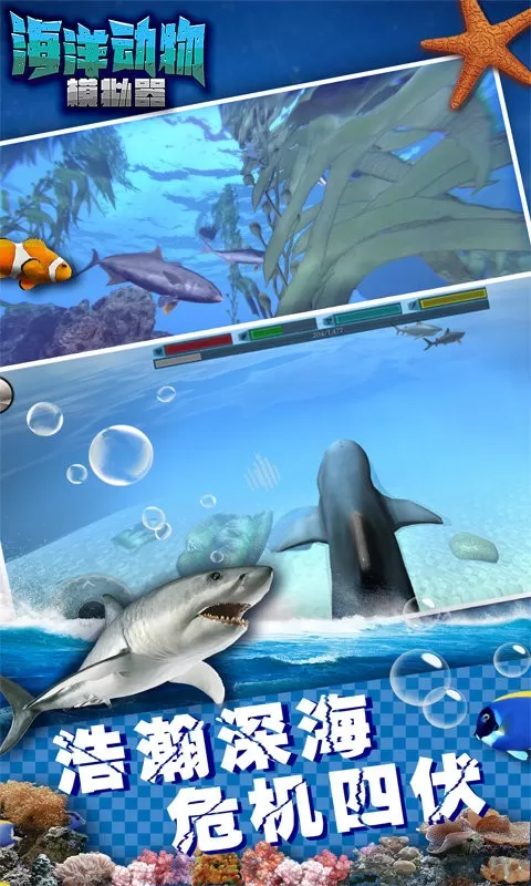 海洋动物模拟器下载免费