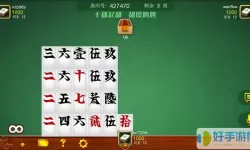 湖南跑胡子放炮罚正版