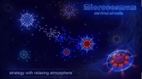 microcosmum官网手机版