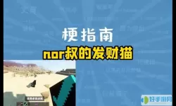 明日之后nor叔解说