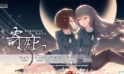 百合小说实体书名