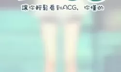 哔咔官网-picacg