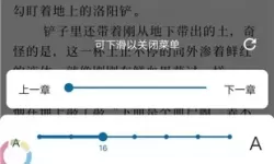 笔趣阁小说缓存位置