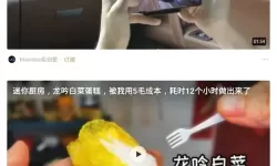 锤子小说APP的使用方法