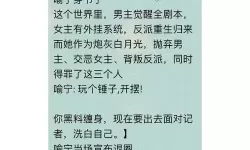 锤子小说导入书源