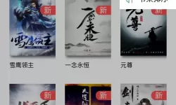 锤子小说无广告可以看吗