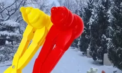 雪球玩数学需要直播嘛