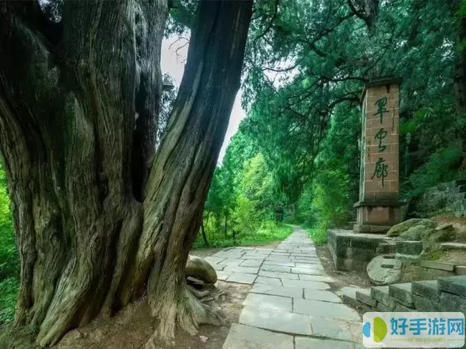 雷鸣三国绿色活动怎么过