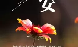 每日精选正能量句子