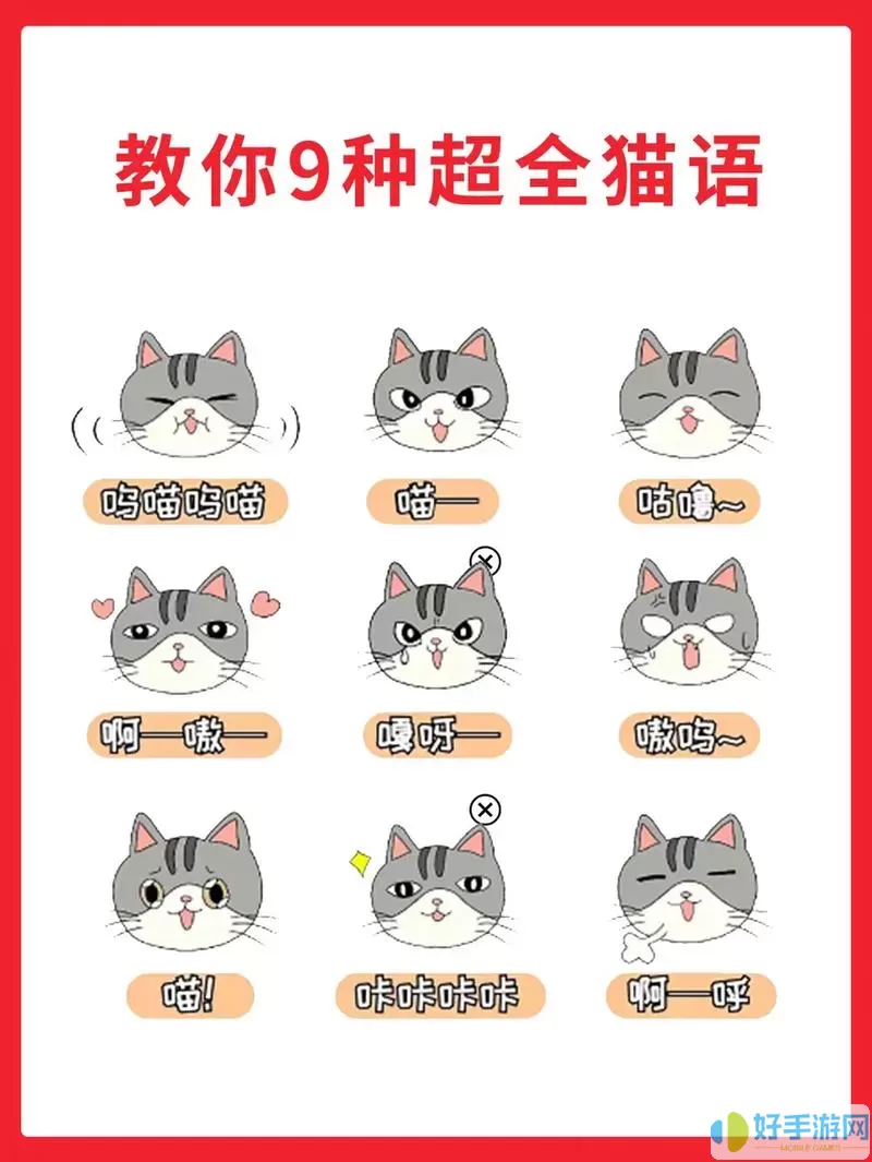 猫语咖啡常客怎么弄