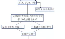 预防接种服务流程的名词解释是什么