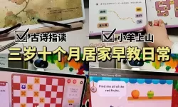 巧多棋院和有道棋院比较