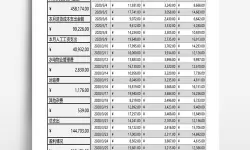 良品铺子年度财务报表