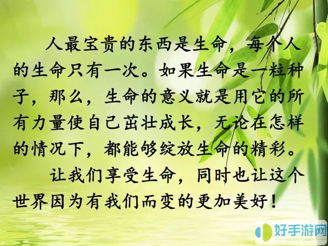 我的生存意义