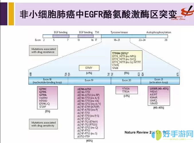 微生物模拟器突变都有什么类型