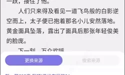 饭团小说旧版本大全