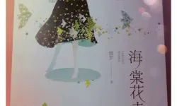 海棠文学小说了