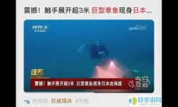 海洋听书怎么听不了呢