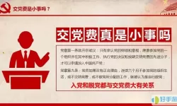 国网党建交党费怎么交