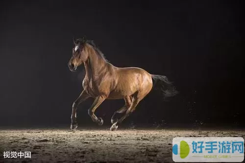 极速逃亡骑上另一匹马