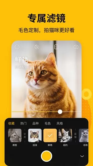 爪叽app最新版