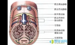 海绵体漏了怎么办