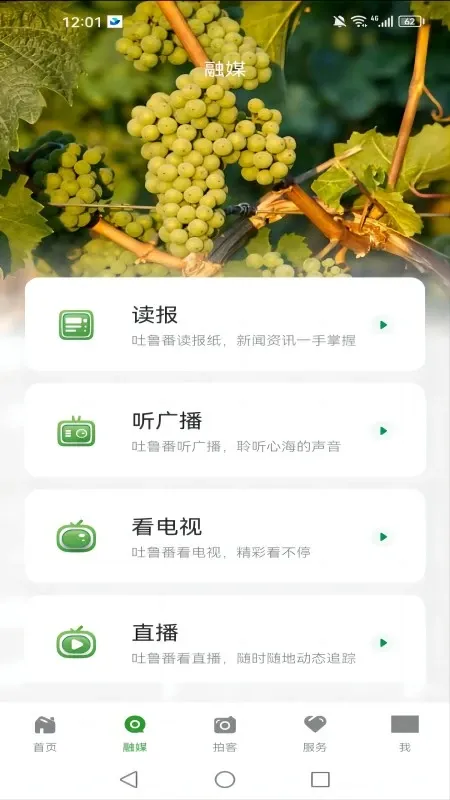 葡萄熟了官网正版下载