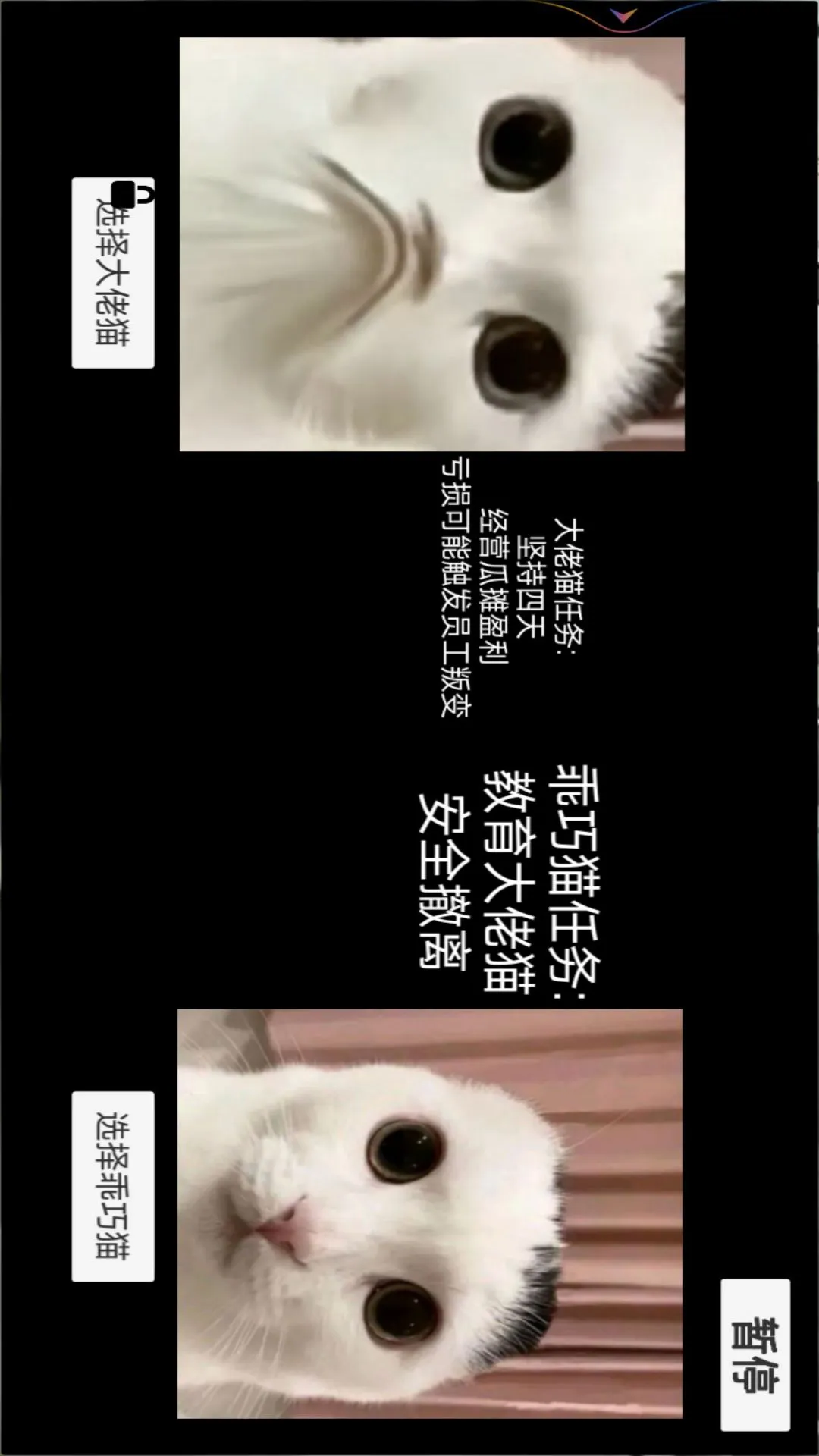 猫猫惊魂夜最新版2024