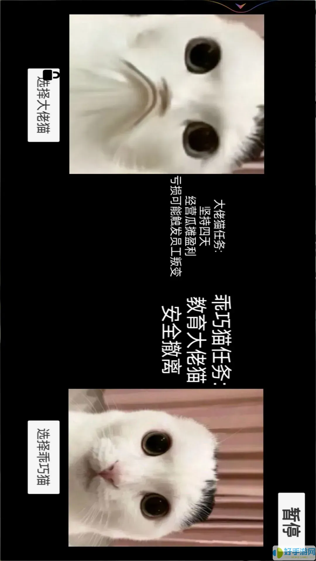 猫猫惊魂夜最新版2024