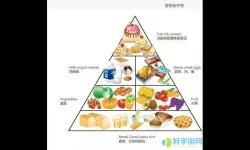 168轻断食每天摄入多少热量