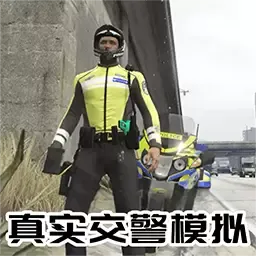 警察故事真实模拟最新版下载