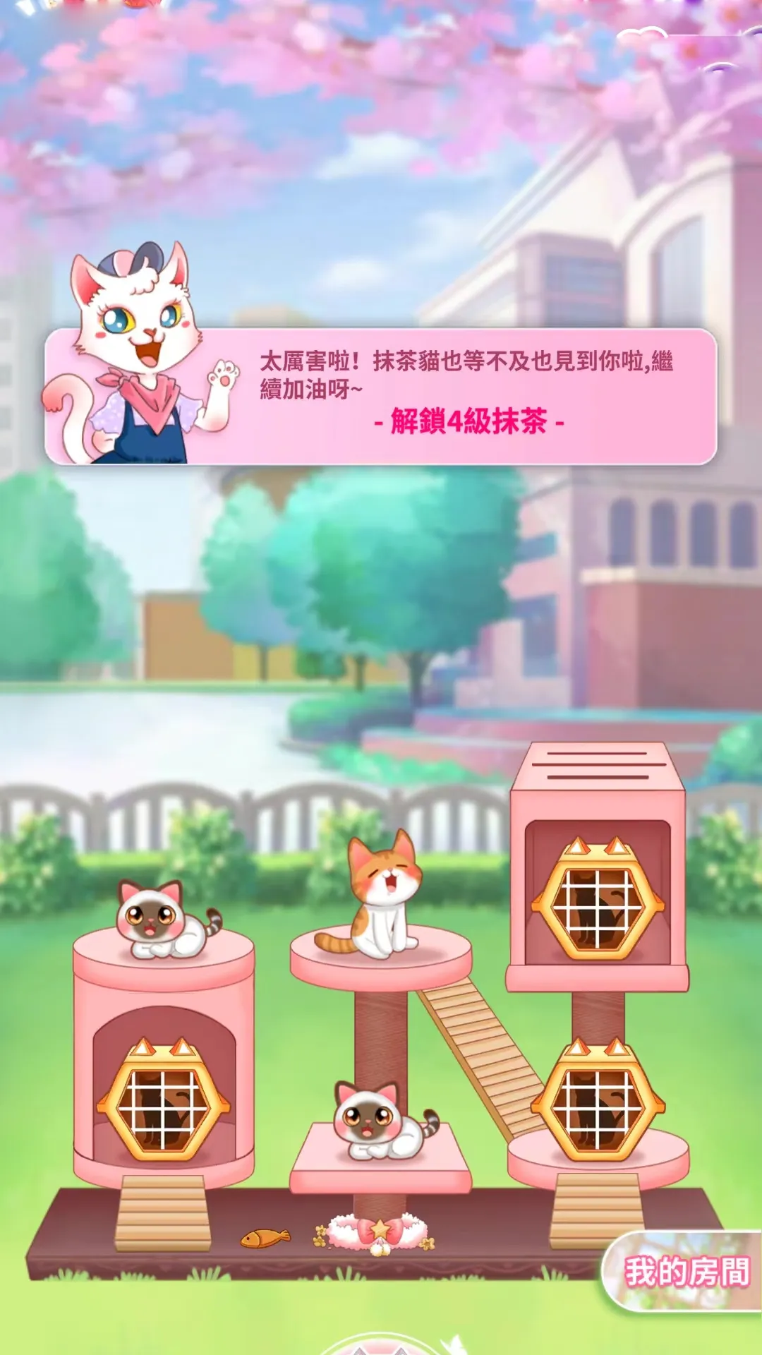 萌猫成长记手游免费版